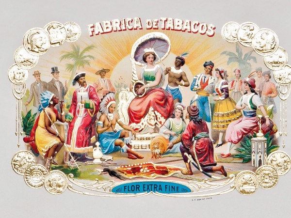 Portfolio Image