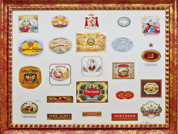 Portfolio Image